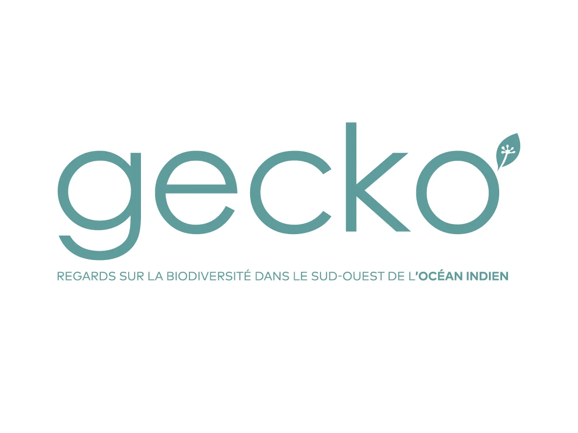 GECKO - Logo vert-bleu