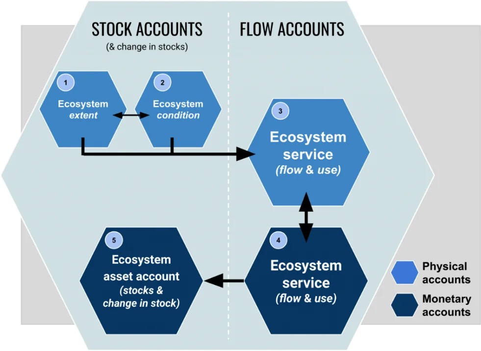 Image Training on Ecosystem Natural Capital Accounts : A Commitment to Protecting our Ecosystems