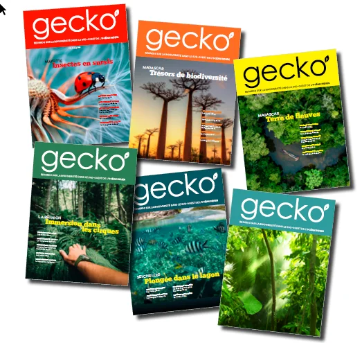 Visuel_couv_Revue Gecko