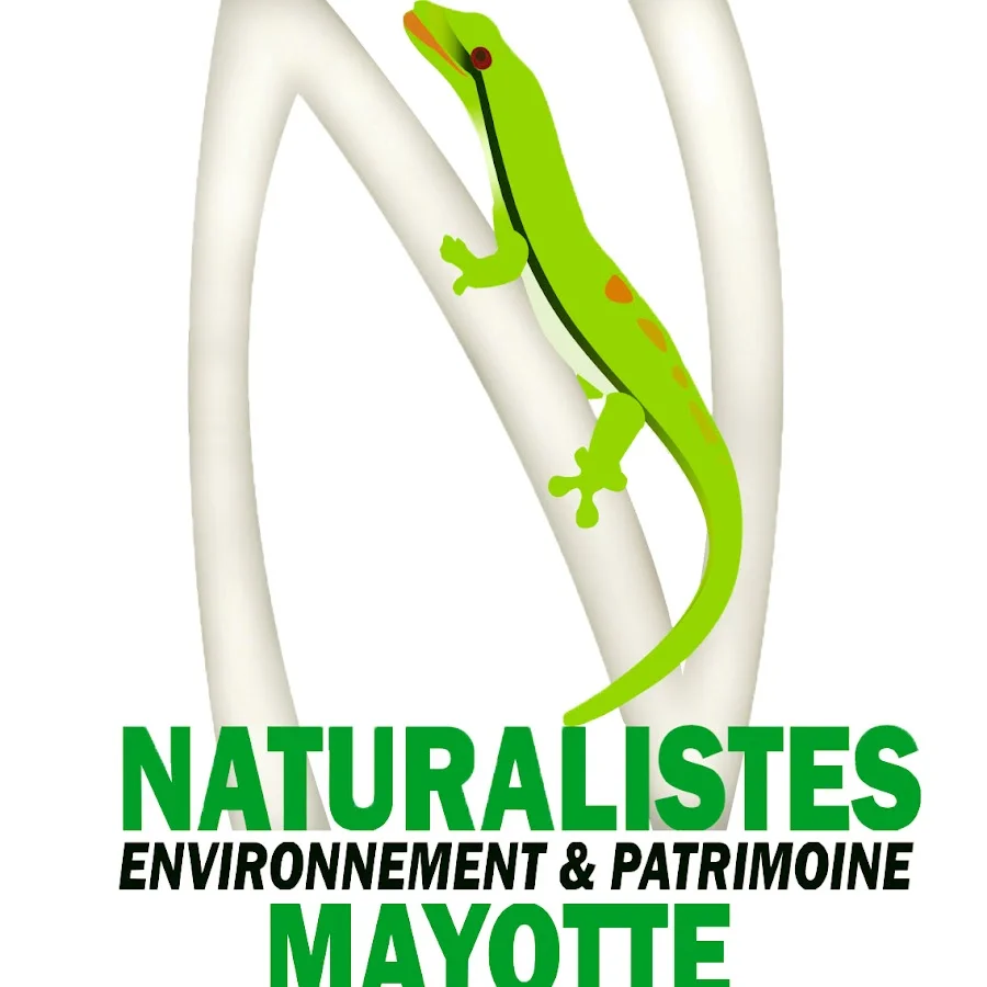 logo LNM