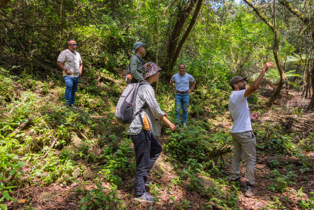 Image Tourisme et biodiversité dans le Sud-Ouest de l’océan Indien : un tournant stratégique